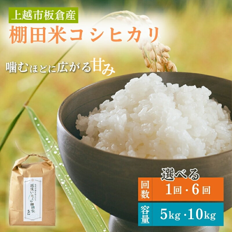 【ふるさと納税】令和7年産 棚田米 上越市板倉産 コシヒカリ 5kg 10kg 5キロ 10キロ 新米 精米 新潟 米 新潟県 こしひかり 限定 おすすめ 定期便