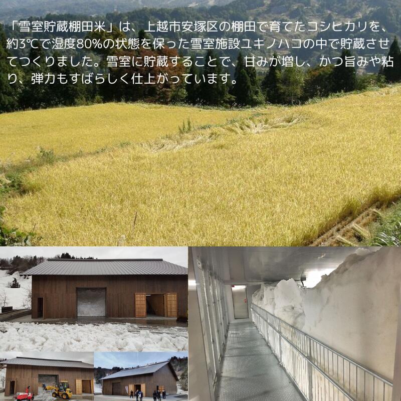 【ふるさと納税】令和8年（新米） 新潟県産 コシヒカリ 雪むろ 棚田米 10kg（5kg×2袋） 10キロ 【明治大学ラグビー部応援米】 雪室貯蔵 上越市 安塚区 手づくり百人協同組合 f152226-joetsu-10002418 新潟県上越市 サンプル画像3