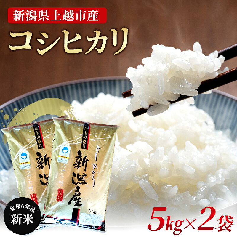 【新潟県上越市産】特別栽培米 こしひかり 令和6年産 10kg（5kg×2袋） 特A ご飯 おにぎり 高橋農場 お届け：10月中旬より順次発送