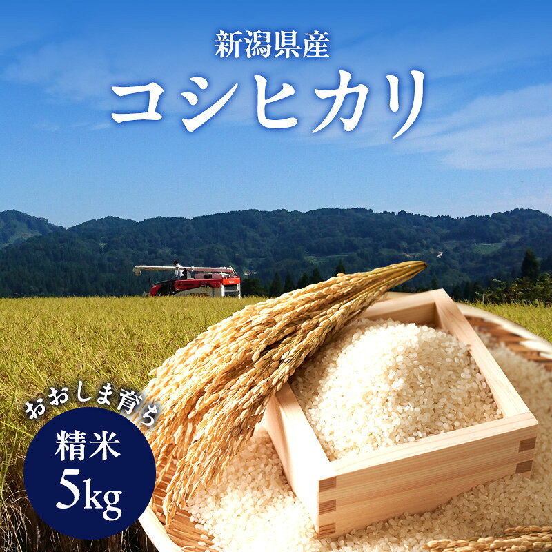 新潟県産コシヒカリ おおしま育ち 精米5kg 上越市 お米 米 お取り寄せ 大島農業