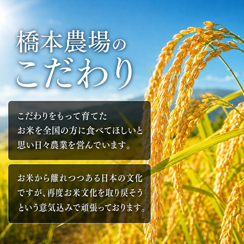 【ふるさと納税】先行予約 令和8年産 新潟県上越市産 コシヒカリ 5kg 米 こしひかり ご飯 精米 お米 新潟 橋本農場　お届け：2026年10月下旬より順次発送