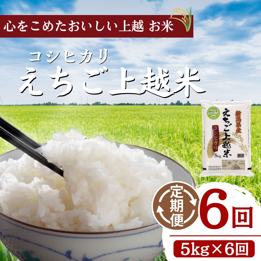 令和7年 新潟県産コシヒカリ えちご上越米 JAえちご上越 定期便 【6ヶ月連続お届け】5kg×6回 30kg 新潟 米 新潟県 こしひかり 限定 おすすめ 定期便 お届け：寄附の入金の翌月より計6回、毎月中旬ごろに発送いたします。