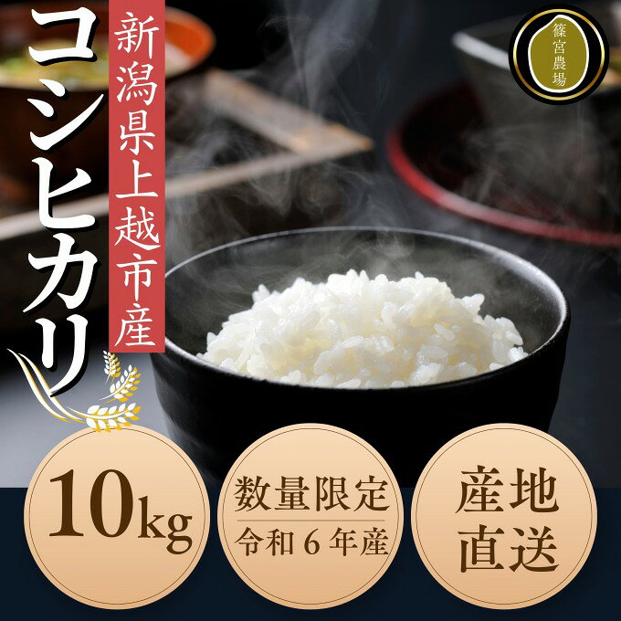 令和7年度産 上越市産コシヒカリ 10kg 精米 新潟 米 新潟県 こしひかり 限定 おすすめ 篠宮農場