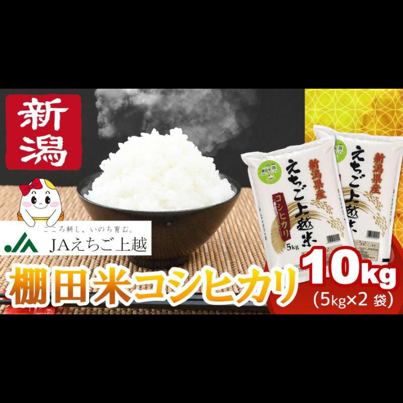 楽天市場】棚田米5kgの通販