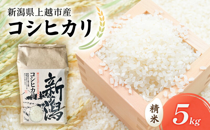 【ふるさと納税】新米 令和7年 新潟県上越市産 コシヒカリ（特別栽培米） 5kg 5キロ 米 こしひかり 山本農園 ご飯 精米 新潟 上越