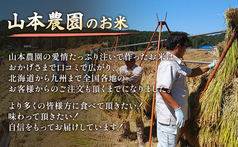 【ふるさと納税】令和7年 新潟県上越市産 コシヒカリ（特別栽培米） 10kg 10キロ 米 こしひかり 山本農園 ご飯 精米 新潟 上越 f152226-joetsu-10002486 新潟県上越市 サンプル画像3