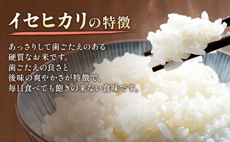 新潟県上越市の画像3