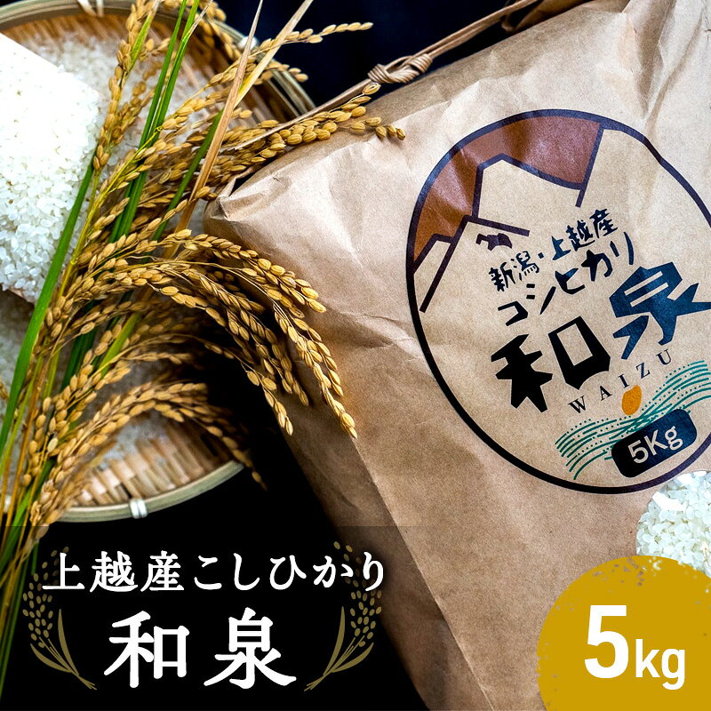 【10月中旬より順次出荷】令和7年度産 上越産こしひかり『和泉』5kg 上越市 精米 米 ワイズ お届け：2025年10月中旬～12月下旬