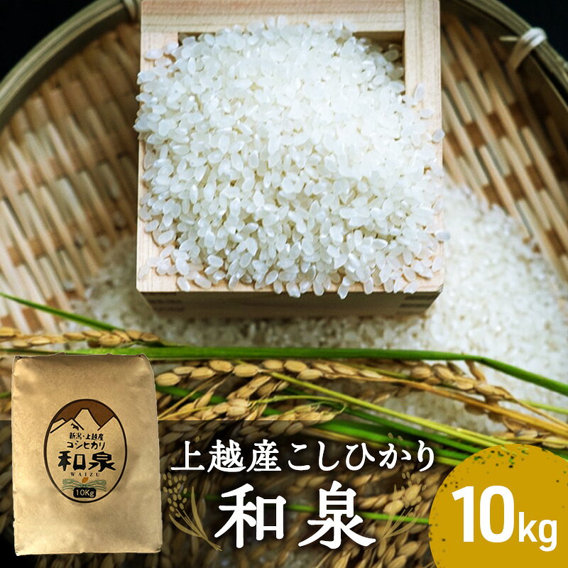 【10月中旬より順次出荷】令和7年度産 上越産こしひかり『和泉』10kg 上越市 精米 米 ワイズ お届け：2025年10月中旬～12月下旬