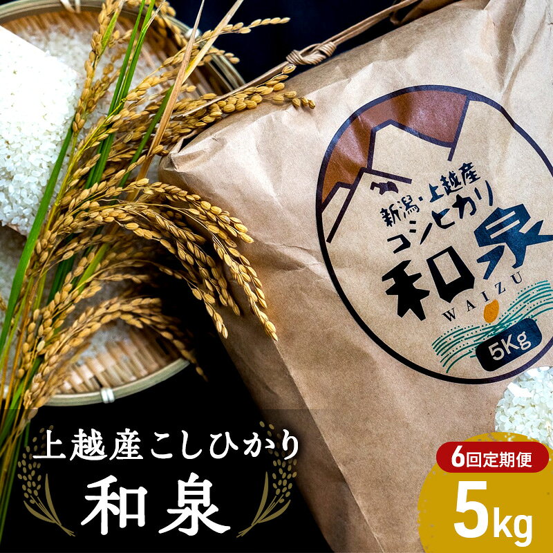 【10月頃より順次出荷】令和7年度産 上越産こしひかり『和泉』5kg 6回定期便 上越市 精米 米 ワイズ お届け：2025年10月中旬～2026年3月下旬