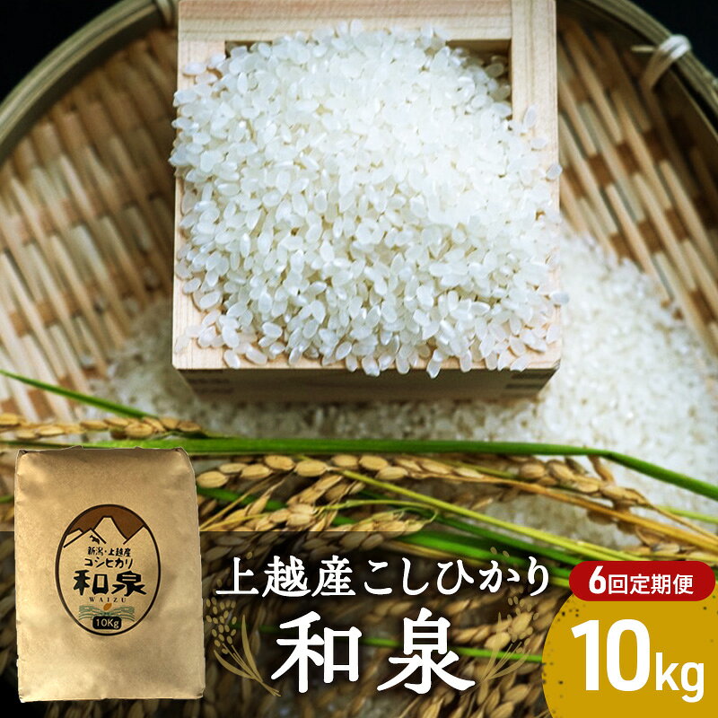 【10月頃より順次出荷】令和7年度産 上越産こしひかり『和泉』10kg 6回定期便 上越市 精米 米 ワイズ お届け：2025年10月中旬～2026年3月下旬
