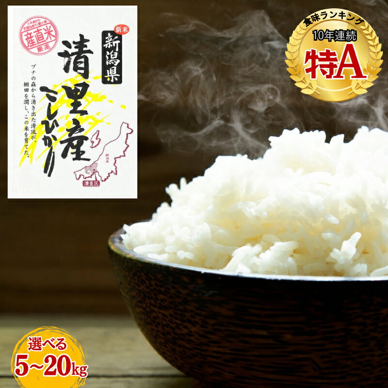 令和8年（新米） 新潟県 清里産コシヒカリ 選べる 5kg 5キロ 10kg 10キロ 20kg 20キロ 真空パックこしひかり精米 上越市 グリーンファーム清里 お届け：12月上旬から順次発送