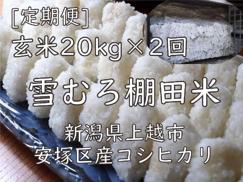 雪むろ棚田米コシヒカリ20kg玄米[定期便]毎月発送(計2回) 新潟県 上越市 新潟産 米 コメ 手づくり百人協同組合