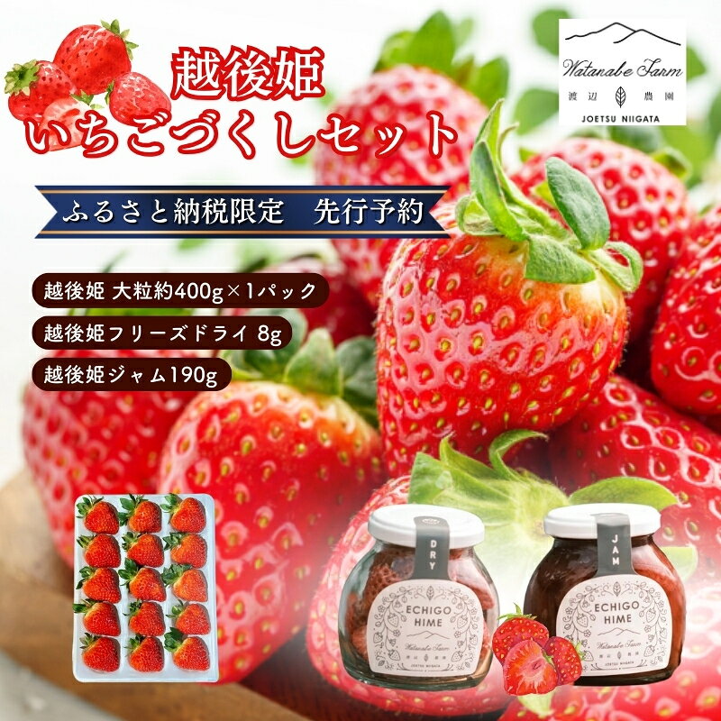 【ふるさと納税限定 苺ジャムと苺のフリーズドライをセットにしました】越後姫 大粒 約400g×1パック (9～15粒入り)フリーズドライとジャムのセット イチゴ 苺 上越市 新潟 渡辺農園 お届け：2025年4月下旬～6月下旬