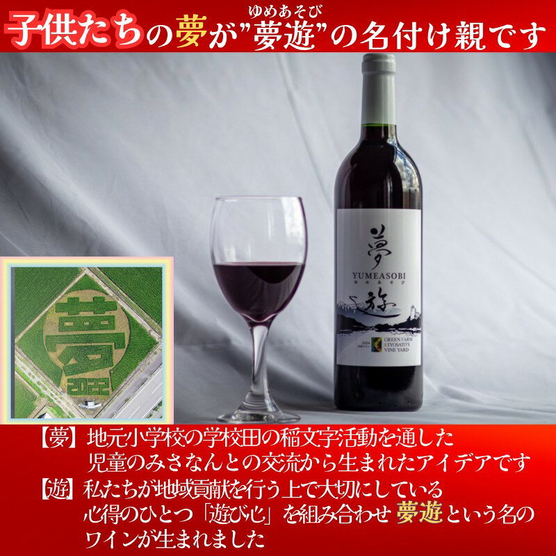 【ふるさと納税】新潟県産 ワイン 清里夢遊（きよさとゆめあそび）【赤】 750ml 希少 限定 上越市産マスカット・ベーリーA100％使用 お酒 国産 上越市 グリーンファーム清里 　お届け：12月上旬から順次発送 f152226-joetsu-10003491 新潟県上越市 サンプル画像2