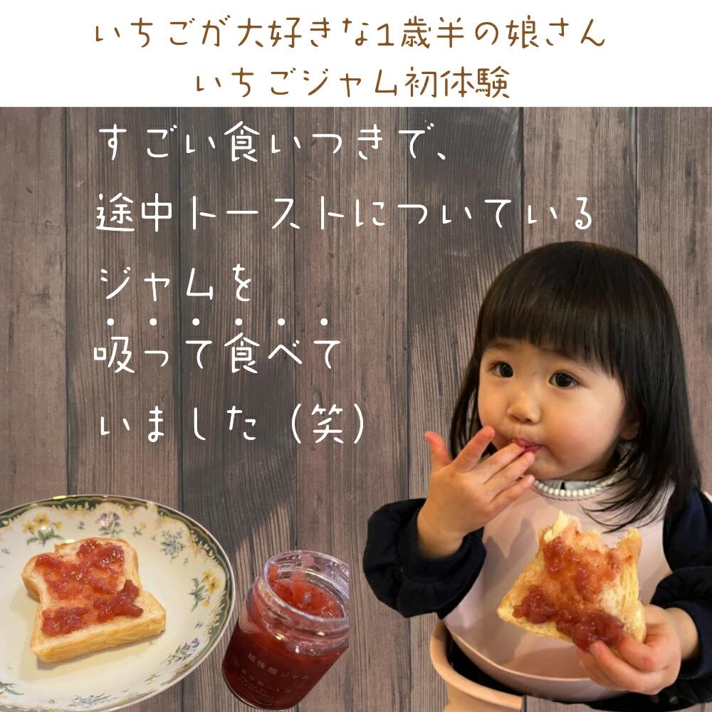 【ふるさと納税】越後姫ジャム 容量が選べる いちご イチゴ 苺 加工品 お取り寄せ 新潟