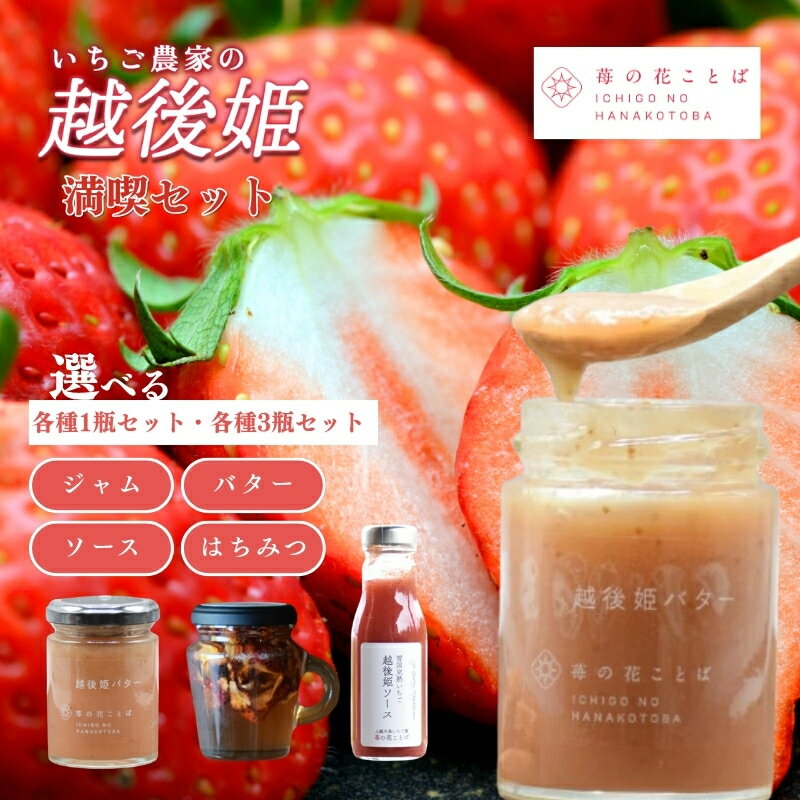 【ふるさと納税】越後姫ジャム・バター・ソース(大瓶)・苺はちみつ(取手付き) 容量が選べる いちご イチゴ 苺 加工品 お取り寄せ 新潟