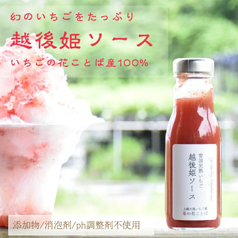 【ふるさと納税】越後姫ソース(大瓶) 容量が選べる いちご イチゴ 苺 加工品 お取り寄せ 新潟