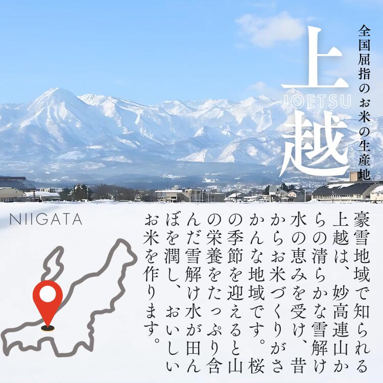 【ふるさと納税】令和7年産 コシヒカリ 新潟県 上越産 5kg 5キロ 定期便 2回 3回 6回 12回 配送回数 選べる お米 精米 白米 ご飯 ブランド米 こしひかり 上越市 G.A.P.認証　お届け：2025年12月中旬以降順次配送