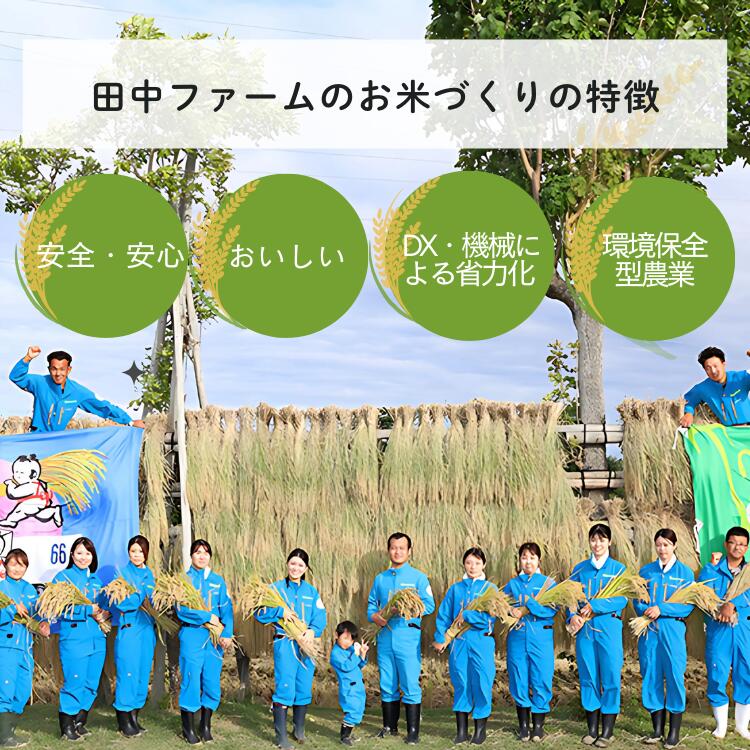 【ふるさと納税】令和7年産 コシヒカリ 新潟県 上越産 5kg 5キロ 定期便 2回 3回 6回 12回 配送回数 選べる お米 精米 白米 ご飯 ブランド米 こしひかり 上越市 G.A.P.認証　お届け：2025年12月中旬以降順次配送 f152226-joetsu-10002705 新潟県上越市 サンプル画像3
