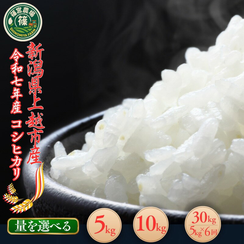 【ふるさと納税】新米 令和7年 新潟県産コシヒカリ 5kg 10kg 5キロ 10キロ 定期便 1回 6回 （毎月発送） 上越市 最高品質のお米を追求し続ける篠宮農場 白米 精米 米 送料無料 安全・安心こしひかり 想いを込めて作ったお米　お届け：2025/11/15から2026/9/30まで