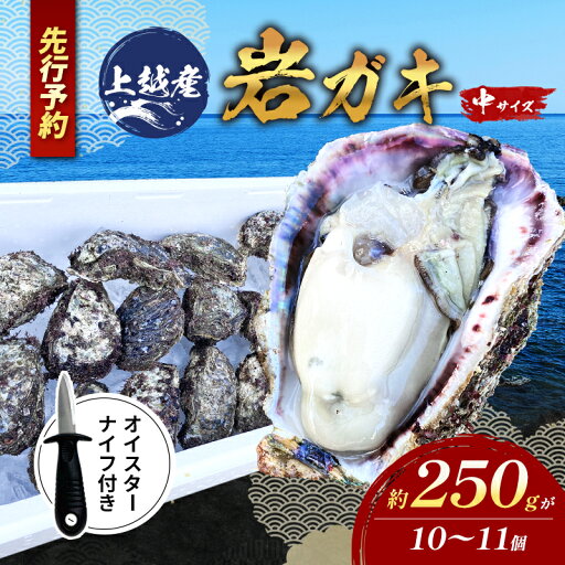 【ふるさと納税】【先行予約/オイスターナイフ付き】上越産天然岩ガキ 中サイズ(約220~250g)10~11個 海産物 2025年7月中旬以降順次発送 お届け:2025年7月中旬~8月中旬まで 【ふるさと納税】【先行予約/オイスターナイフ付き】上越産天然岩ガキ 中サイズ(約220~250g)10~11個 海産物 2025年7月中旬以降順次発送 お届け:2025年7月中旬~8月中旬まで