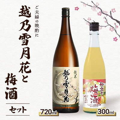 【ご夫婦の晩酌に】越乃雪月花と梅酒のセット 日本酒 梅酒 地酒 おつまみ 南部堂 熨斗対応 ギフト プレゼント 秋 贈答