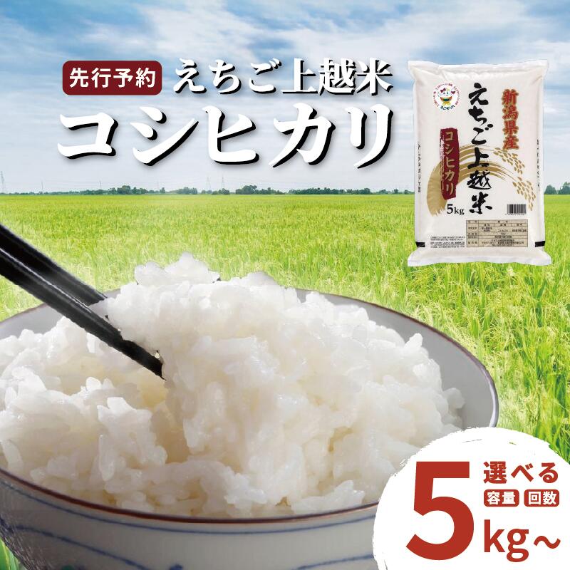 【ふるさと納税】新米 令和7年 新潟県産コシヒカリ 5kg 10kg 5キロ 10キロ 定期便 1回 3回 6回 12回 （毎月発送） えちご上越米 JAえちご上越 白米 精米 米 送料無料 品質管理・異物排除・トレーサビリティを徹底　お届け：2025年10月上旬～