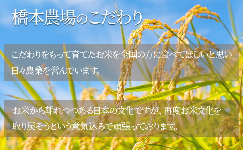 【ふるさと納税】先行予約 令和8年産 新潟県上越市産 コシヒカリ 27kg 米 こしひかり ご飯 精米 お米 新潟 橋本農場　お届け：2026年10月下旬より順次発送 f152226-joetsu-10002788 新潟県上越市 サンプル画像2