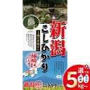 【ふるさと納税】令和7年産 先行予約 新潟県上越柿崎地区厳選 こしひかり 容量と精米・無洗米が選べる 上越市 精米 米 コメ コシヒカリ ブランド米 定期便 お届け:2025年10月中旬から順次発送いたします。
