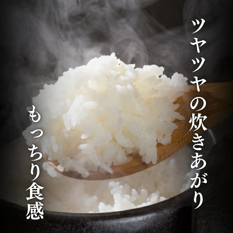 【ふるさと納税】新米 令和7年 新潟県産 コシヒカリ 5kg 10kg 15kg 20kg 30kg 5キロ 10キロ 15キロ 20キロ 30キロ 定期便 1回 3回 6回 （毎月発送） 米 定期便 上越市 柿崎区 厳選 こしひかり 白米 精米 無洗米　お届け：2025年10月中旬から順次発送いたします。