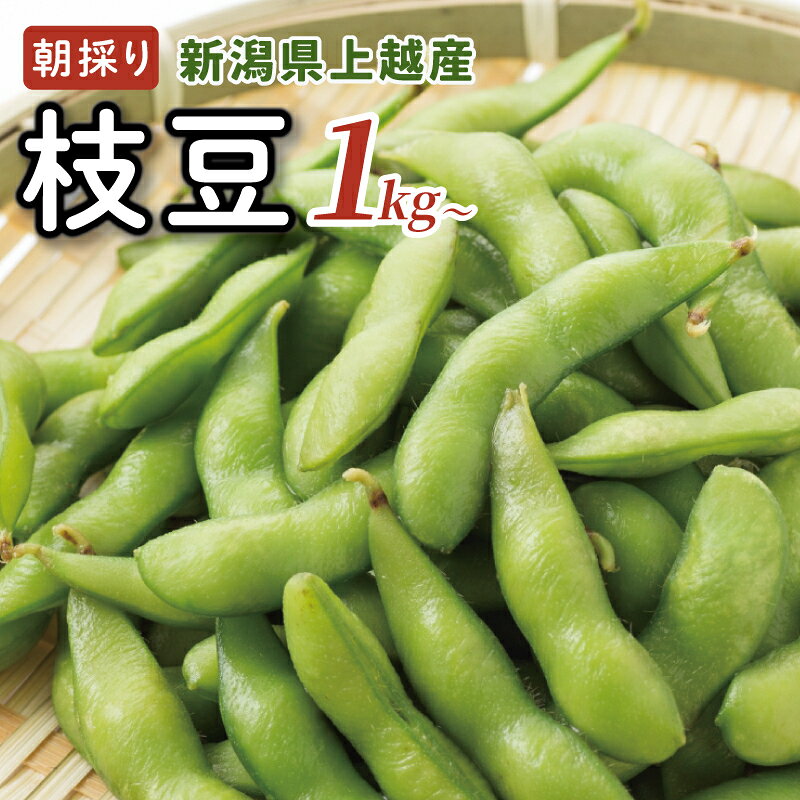 【ふるさと納税】先行予約 【数量限定】 朝採り 産地から当日発送！ 採れたて 枝豆 選べる容量 1kg 1.5kg 2kg 新潟 上越 高田圃場 上越市 えだまめ　お届け：2026年8月31日まで