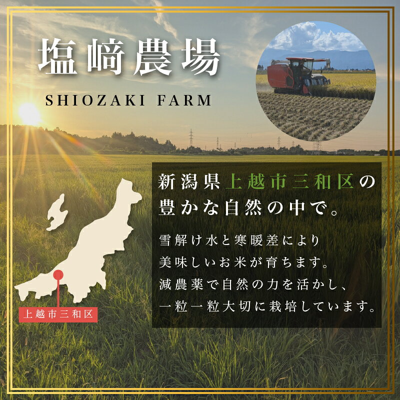 【ふるさと納税】令和8年産 新潟県 上越市産 新之助 5kg 10kg 5キロ 10キロ 3回 3か月 定期便 白米 精米 新米 先行予約 塩崎農場　お届け：10月中旬より順次発送 f152226-joetsu-10002853 新潟県上越市 サンプル画像3