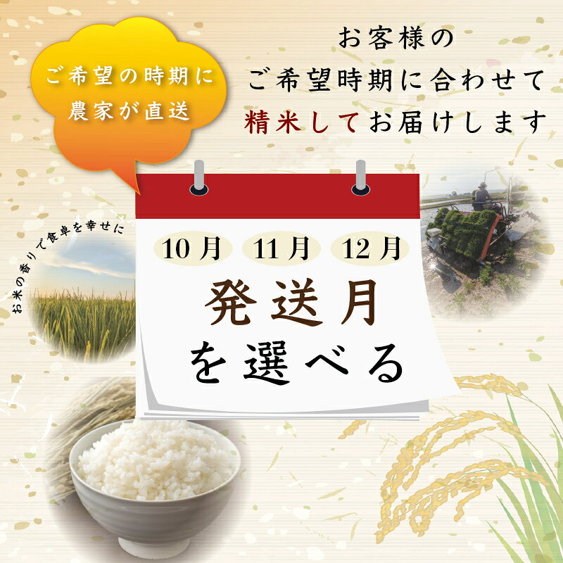 【ふるさと納税】令和8年産 新潟県 上越市産 にじのきらめき 容量と配送回数選べる 白米 精米 送料無料 虹のきらめき 塩崎農場　お届け：10月中旬より順次発送
