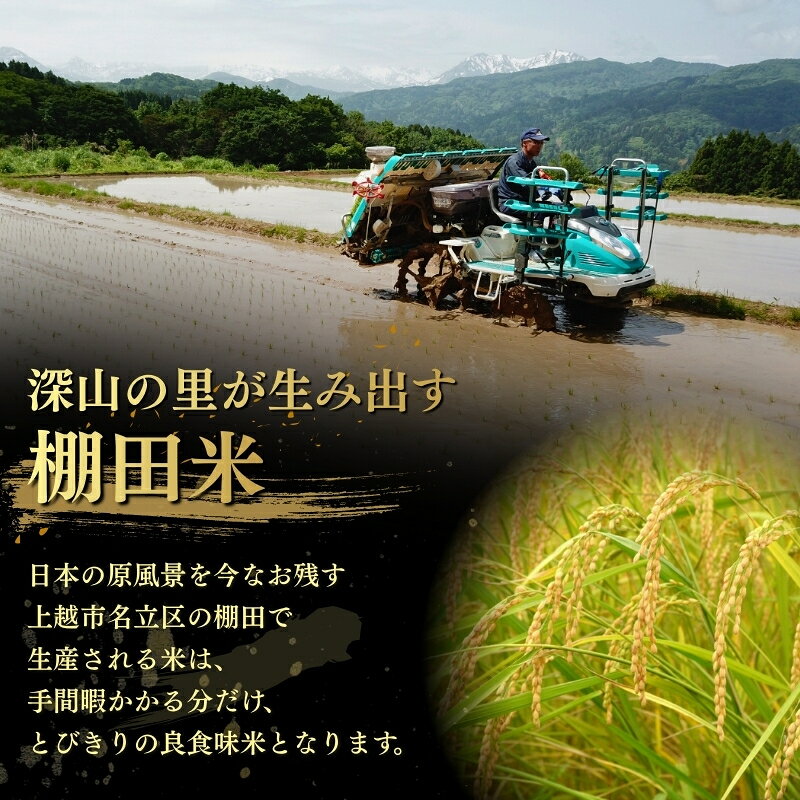 【ふるさと納税】令和8年産 新米 先行予約 コシヒカリ 棚田米 新潟県 上越市名立区産 「灘立銀嶺米 光」 5kg 5キロ 10kg 10キロ 1回 3回 6回 精米 米 定期便 新潟　お届け：2026年10月下旬から順次発送