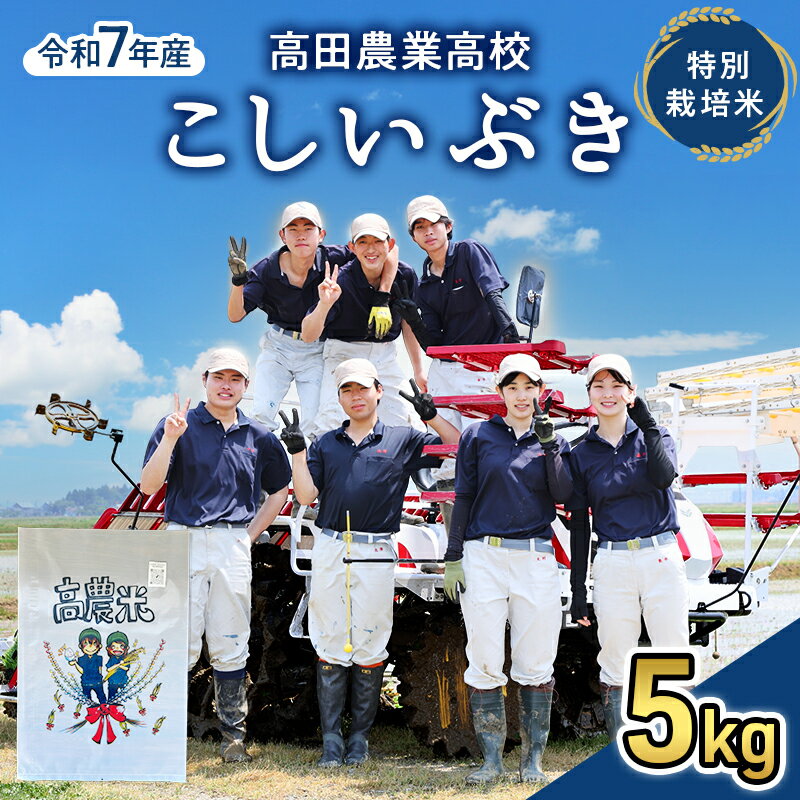 [未来の農業家を応援]高田農業高校の生徒が育てた 令和7年産 特別栽培米 こしいぶき 5kg 新潟県 上越市産 お届け:2026年2月上旬より順次発送