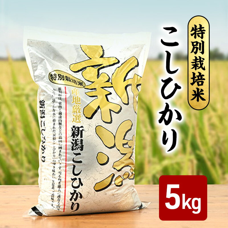 新米 令和7年 新潟県産コシヒカリ 特別栽培米 5kg 5キロ 上越市 三和区神田 富永農産 有機肥料 自家製たい肥を使用し米つくり 送料無料 お届け:2025年11月上旬〜2026年3月下旬まで