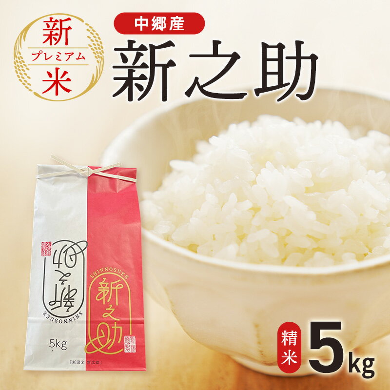新米 令和7年 新潟県 上越市産 新之助 5kg やまざきふぁーむ 送料無料 精米 5kg お米 コメ 白米 上越市