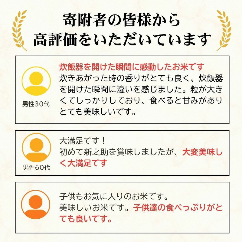 【ふるさと納税】高評価★4.5 【精米したて！】令和8年産 新潟県上越市産 新之助 5kg 10kg 15kg 30kg 定期便 しんのすけ 新米 先行予約 蛍の里　お届け：【8年産】8年10月下旬より順次配送