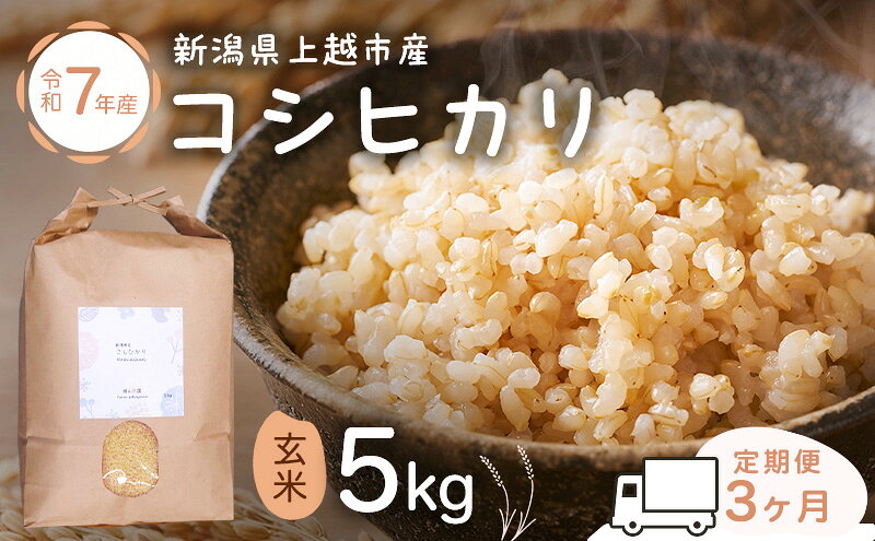 【ふるさと納税】新潟県特別栽培農作物 定期便 3ヶ月 玄米 新潟県上越市産 横山農園 コシヒカリ 令和7年産 5kg（5kg×1袋）毎月3回配送 こしひかり お米 ご飯 送料無料