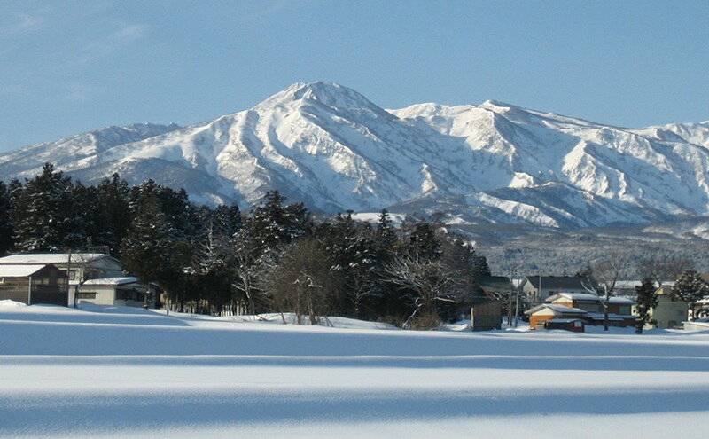 【ふるさと納税】標高200mで育てた棚田米|令和7年・新潟県上越産・ゆうだい21精米1...