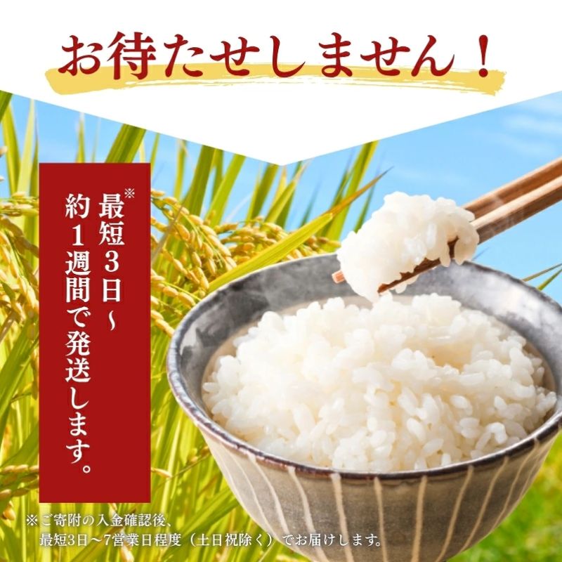 【ふるさと納税】【最短3日発送】令和8年産 新米 コシヒカリ 新潟県 上越市産 選べる 2kg 4kg 5kg 10kg 定期便 1回 3回 6回 3ヶ月 6ヶ月 精米 お米 白米 こしひかり 新潟県産米 新潟農商 数量限定 スピード配送 　お届け：記載日より順次発送 f152226-joetsu-10003490 新潟県上越市 サンプル画像3