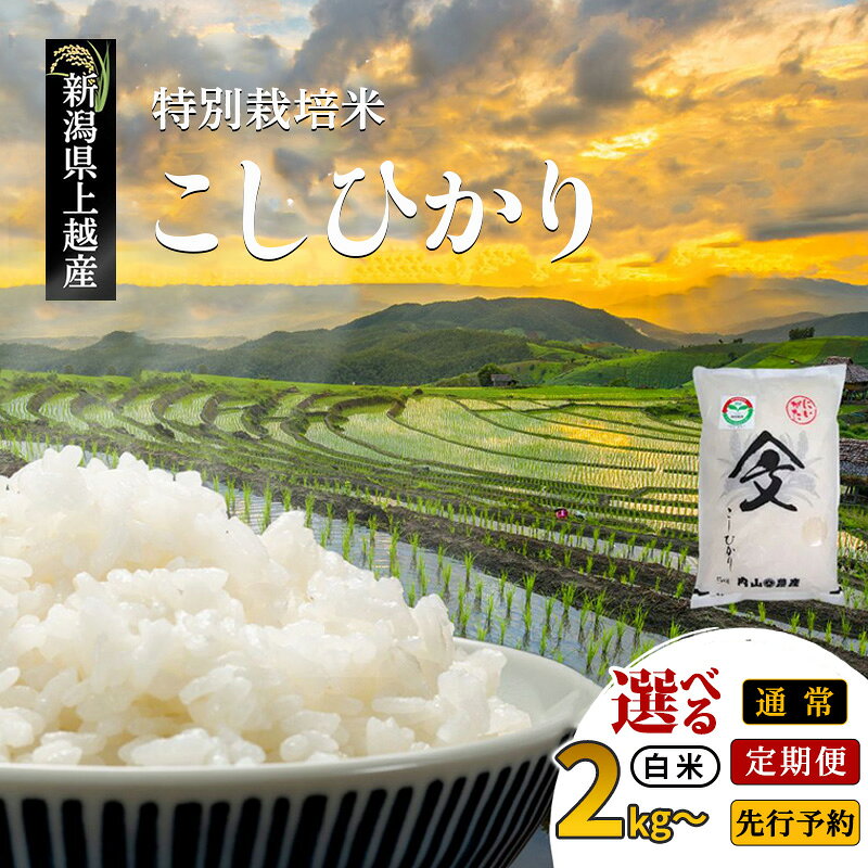 【ふるさと納税】先行予約 令和8年産 令和7年産 新潟県上越産「 特別栽培米 コシヒカリ 」 白米 2kg 5kg 10kg 15kg 定期便 内山農産 こしひかり お米 こめ おすすめ 新潟県産 にいがた 上越