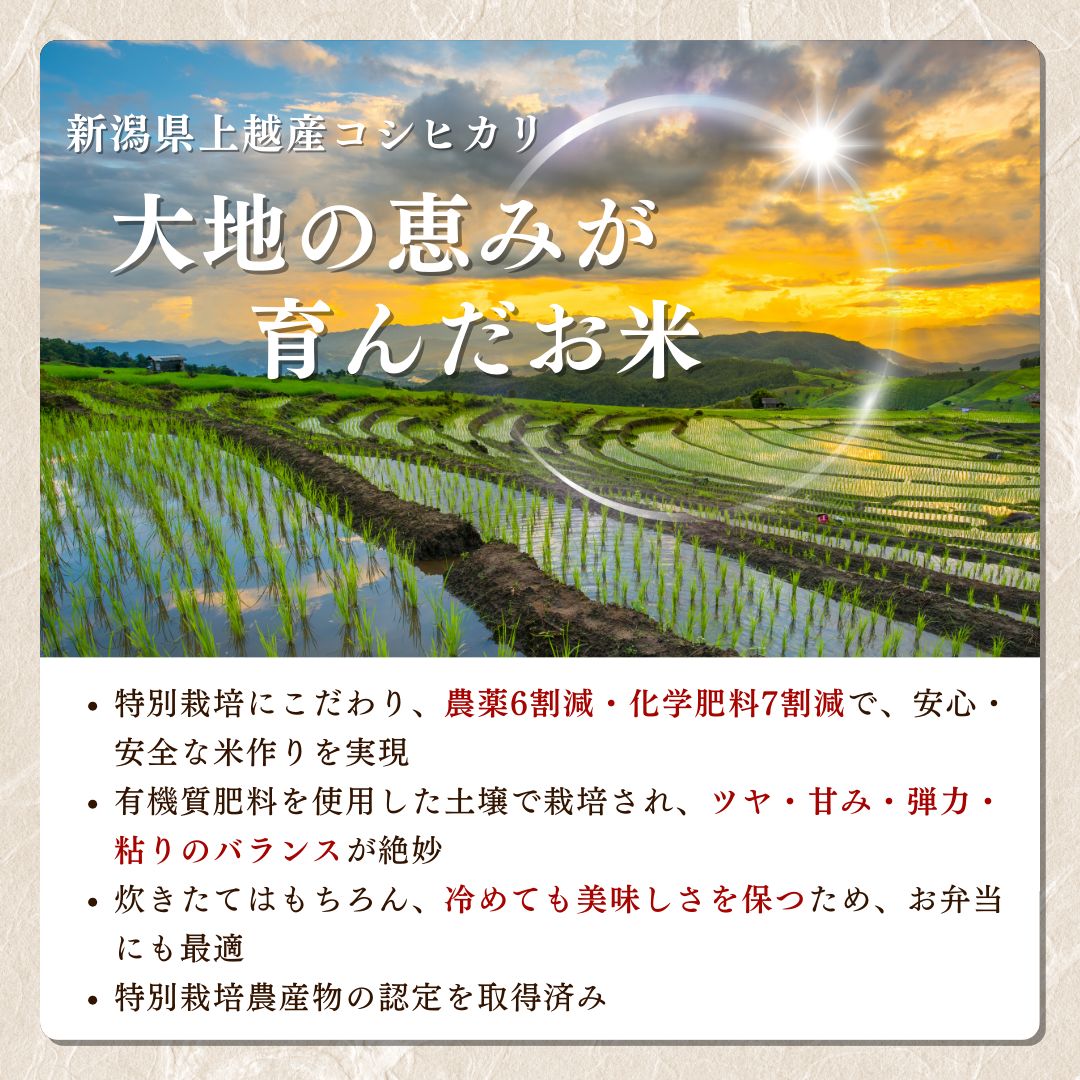 【ふるさと納税】先行予約 令和8年産 令和7年産 新潟県上越産「 特別栽培米 コシヒカリ 」 白米 2kg 5kg 10kg 15kg 定期便 内山農産 こしひかり お米 こめ おすすめ 新潟県産 にいがた 上越
