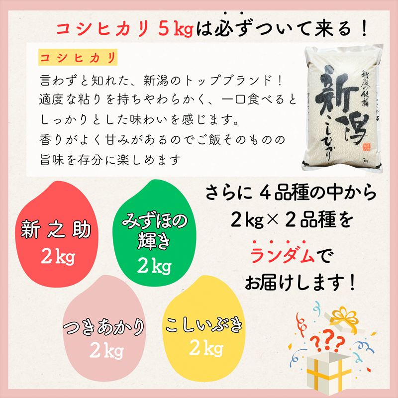 【ふるさと納税】令和7年産 新潟県上越市産米 食べ比べ 9kg 【コシヒカリ 5kgと2kg×2品種】 米 新之助 こしいぶき つきあかり みずほの輝き ランダム おまかせ 精米 限定 米ヴィレッジさんわ セット　お届け：指定月の下旬に発送いたします。 f152226-joetsu-10003072 新潟県上越市 サンプル画像2