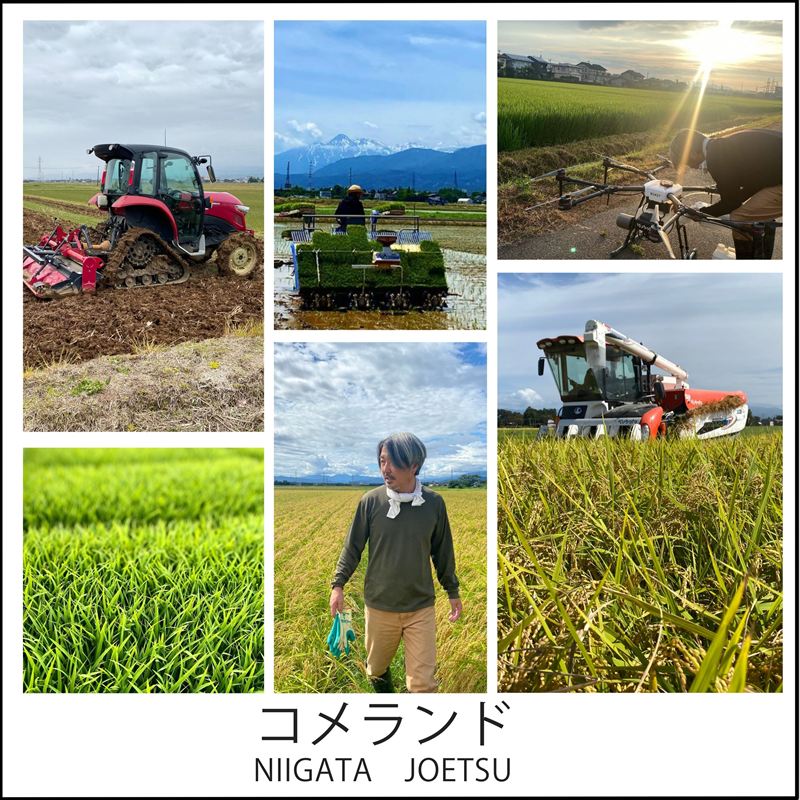 【ふるさと納税】高評価★4.90 令和8年産 令和7年産 新潟県上越市産 コシヒカリ 5kg...