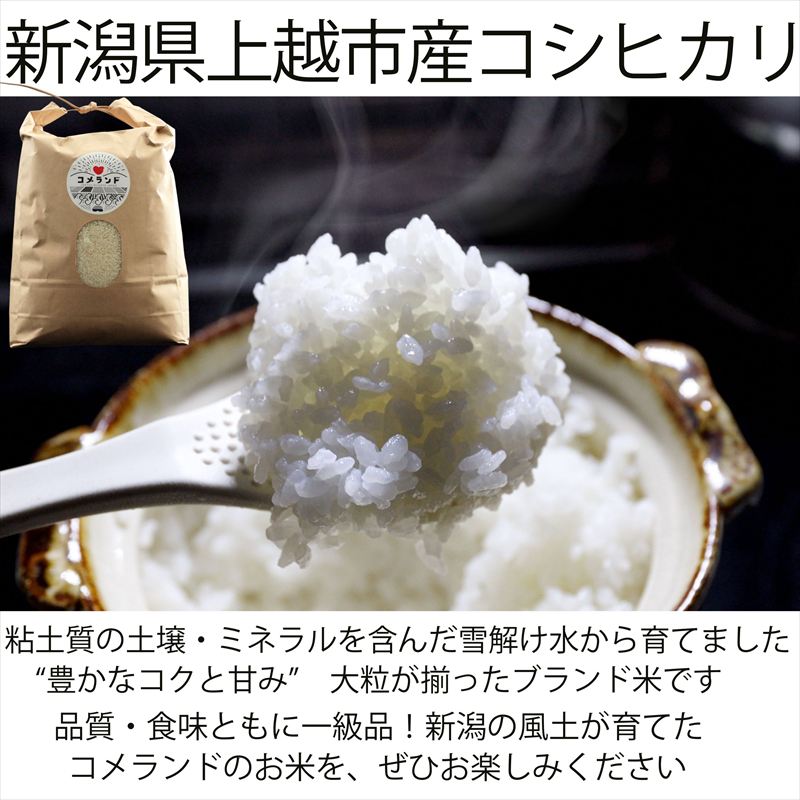 【ふるさと納税】高評価★4.90 令和8年産 令和7年産 新潟県上越市産 コシヒカリ 5kg...