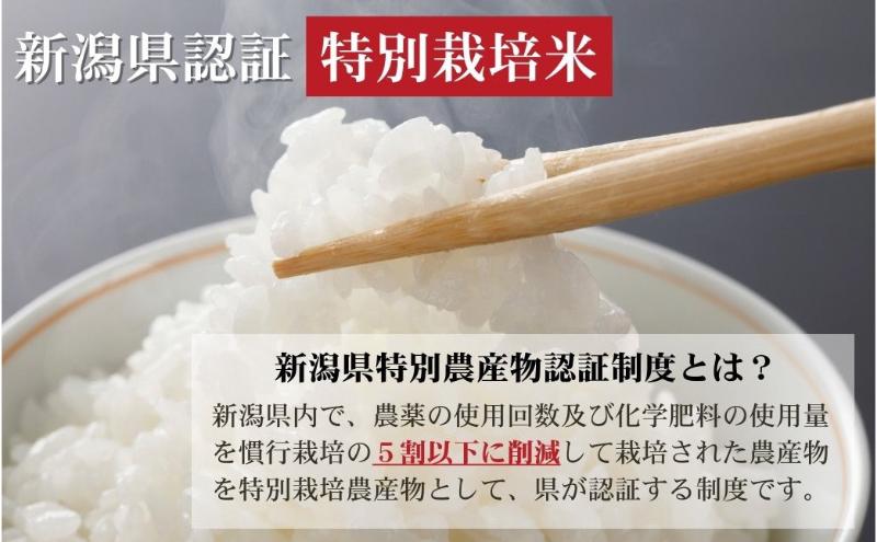 【ふるさと納税】先行予約 令和8年産 新潟県上越市産 特別栽培米 コシヒカリ×新之助 各5kg（計10kg）食べ比べセット ご飯 おにぎり　お届け：2026年10月下旬～2027年10月下旬まで f152226-joetsu-10003407 新潟県上越市 サンプル画像3
