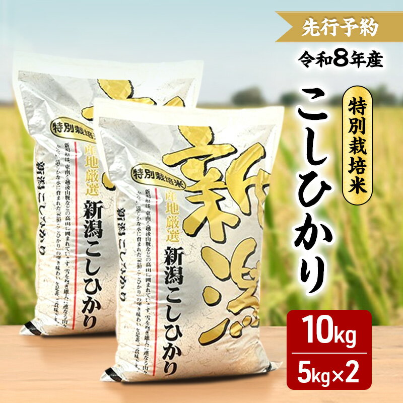 乐天商城 - 【ふるさと納税】先行予約 令和8年 新潟県産コシヒカリ 特別栽培米 10kg 10キロ（5kg×2） 上越市 三和区神田 富永農産 有機肥料 自家製たい肥　お届け：2026年10月中旬～12月下旬まで