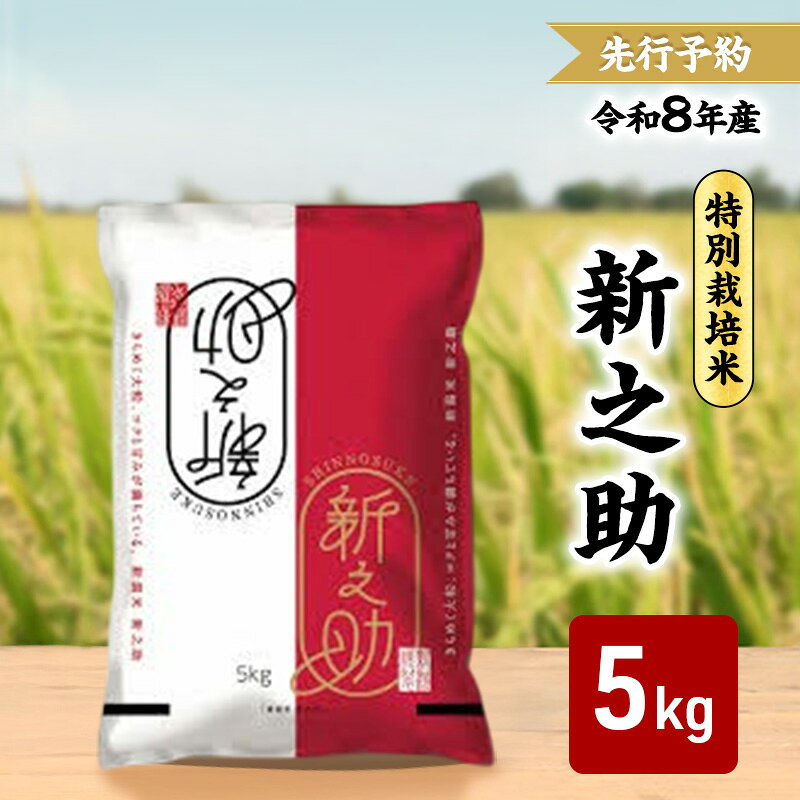 Rakuten - 【ふるさと納税】先行予約 令和8年 新潟県産新之助 特別栽培米 5kg 5キロ 上越市 三和区神田 富永農産 有機肥料 自家製たい肥　お届け：2026年10月中旬～12月下旬まで